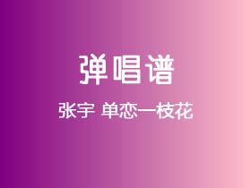 张宇《单恋一枝花》吉他谱G调吉他弹唱谱