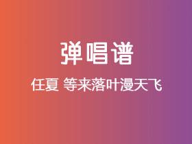 任夏《等来落叶漫天飞》吉他谱G调吉他弹唱谱