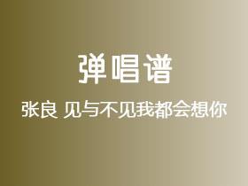 张良《见与不见我都会想你》吉他谱C调吉他弹唱谱