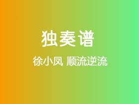徐小凤《顺流逆流》吉他谱G调吉他指弹独奏谱