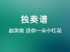 赵英俊《送你一朵小红花》吉他谱G调吉他指弹独奏谱