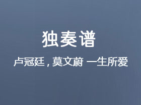 卢冠廷《一生所爱》吉他谱G调吉他指弹独奏谱