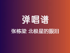张栋梁《北极星的眼泪》吉他谱C调吉他弹唱谱