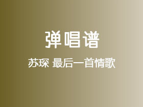 苏琛《最后一首情歌》吉他谱G调吉他弹唱谱