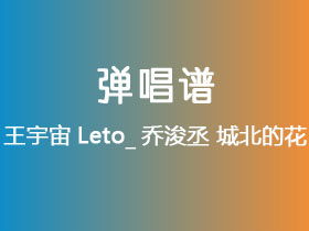 王宇宙Leto_乔浚丞《城北的花》吉他谱C调吉他弹唱谱