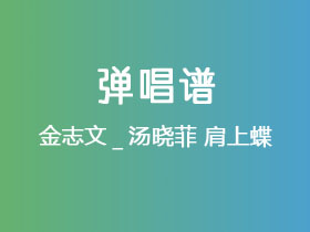金志文_汤晓菲《肩上蝶》吉他谱C调吉他弹唱谱