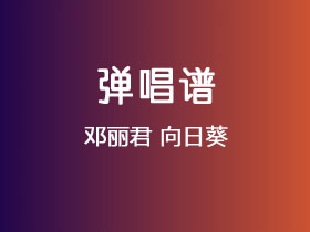 邓丽君《向日葵》吉他谱C调吉他弹唱谱