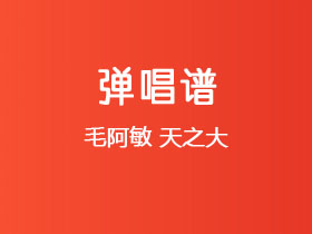 毛阿敏《天之大》吉他谱C调吉他弹唱谱