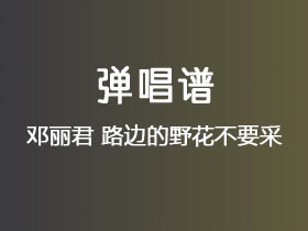 邓丽君《路边的野花不要采》吉他谱C调吉他弹唱谱