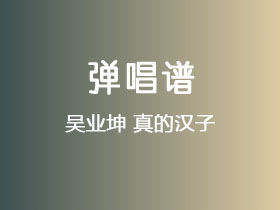 吴业坤《真的汉子》吉他谱G调吉他弹唱谱