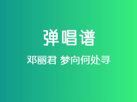邓丽君《梦向何处寻》吉他谱G调吉他弹唱谱