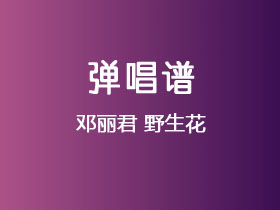 邓丽君《野生花》吉他谱G调吉他弹唱谱