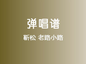 靳松《老路小路》吉他谱C调吉他弹唱谱