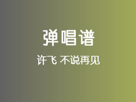 许飞《不说再见》吉他谱G调吉他弹唱谱
