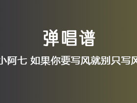 小阿七《如果你要写风就别只写风》吉他谱C调吉他弹唱谱