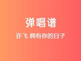 许飞《拥有你的日子》吉他谱C调吉他弹唱谱
