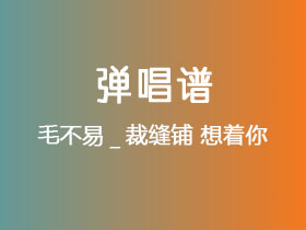 毛不易_裁缝铺《想着你》吉他谱C调吉他弹唱谱