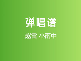 赵雷《小雨中》吉他谱C调吉他弹唱谱