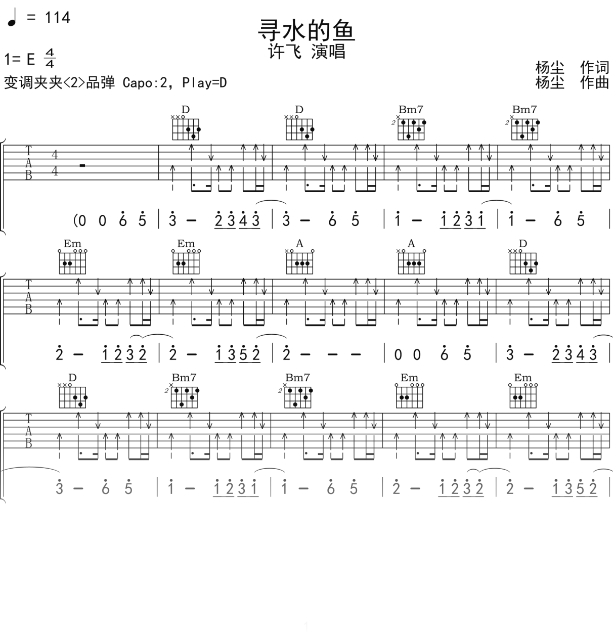 许飞《寻水的鱼》吉他谱D调吉他弹唱谱
