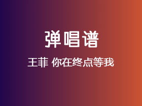 王菲《你在终点等我》吉他谱G调吉他弹唱谱