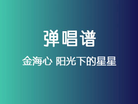 金海心《阳光下的星星》吉他谱G调吉他弹唱谱