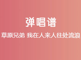 草原兄弟《我在人来人往处流浪》吉他谱C调吉他弹唱谱
