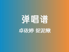 卓依婷《捉泥鳅》吉他谱C调吉他弹唱谱
