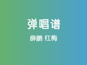 薛鹏《红梅》吉他谱C调吉他弹唱谱