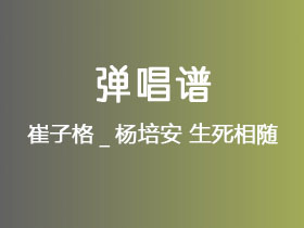 崔子格_杨培安《生死相随》吉他谱C调吉他弹唱谱