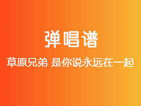 草原兄弟《是你说永远在一起》吉他谱G调吉他弹唱谱