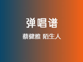 蔡健雅《陌生人》吉他谱G调吉他弹唱谱
