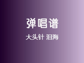 大头针《泪海》吉他谱C调吉他弹唱谱