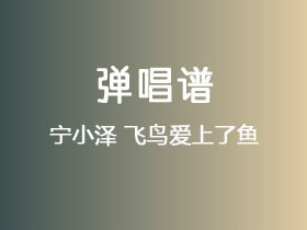 宁小泽《飞鸟爱上了鱼》吉他谱C调吉他弹唱谱