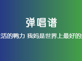 生活的鸭力《我妈是世界上最好的妈》吉他谱G调吉他弹唱谱