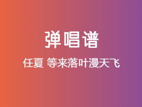 任夏《等来落叶漫天飞》吉他谱G调吉他弹唱谱