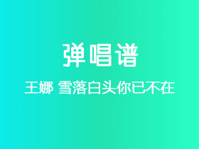 王娜《雪落白头你已不在》吉他谱G调吉他弹唱谱