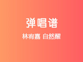 林宥嘉《自然醒》吉他谱C调吉他弹唱谱