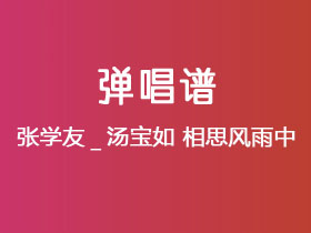 张学友_汤宝如《相思风雨中》吉他谱C调吉他弹唱谱
