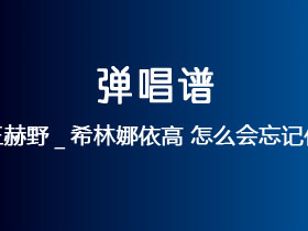 王赫野_希林娜依高《怎么会忘记你》吉他谱G调吉他弹唱谱