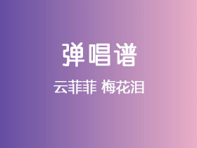 云菲菲《梅花泪》吉他谱G调吉他弹唱谱