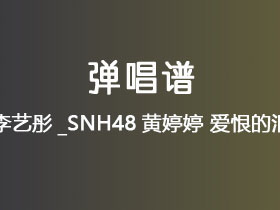 李艺彤_SNH48黄婷婷《爱恨的泪》吉他谱G调吉他弹唱谱