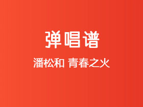 潘松和《青春之火》吉他谱D调吉他弹唱谱