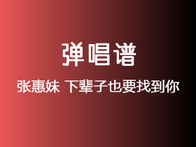 张惠妹《下辈子也要找到你》吉他谱G调吉他弹唱谱