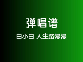 白小白《人生路漫漫》吉他谱F调吉他弹唱谱