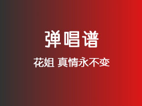 花姐《真情永不变》吉他谱G调吉他弹唱谱