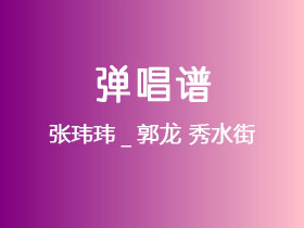 张玮玮_郭龙《秀水街》吉他谱G调吉他弹唱谱
