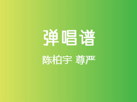 陈柏宇《尊严》吉他谱G调吉他弹唱谱