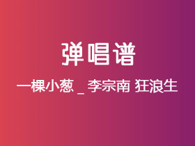 一棵小葱_李宗南《狂浪生》吉他谱C调吉他弹唱谱