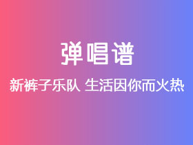 新裤子乐队《生活因你而火热》吉他谱C调吉他弹唱谱