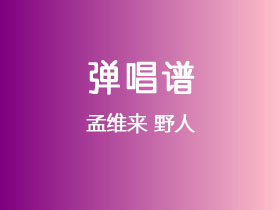 孟维来《野人》吉他谱C调吉他指弹独奏谱